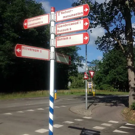 de zanderij-3